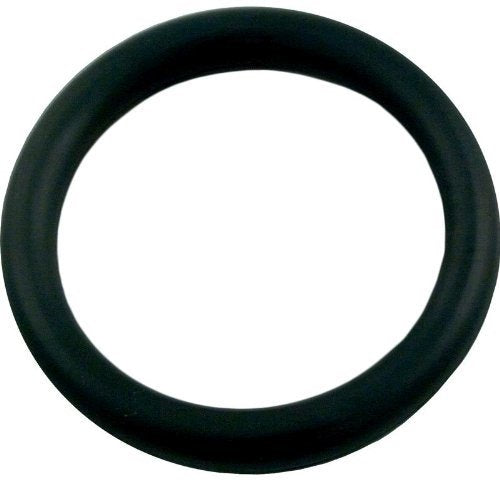 Polaris 65 O-Ring for Wall Fitting