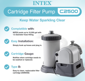 Intex Pump and Filter